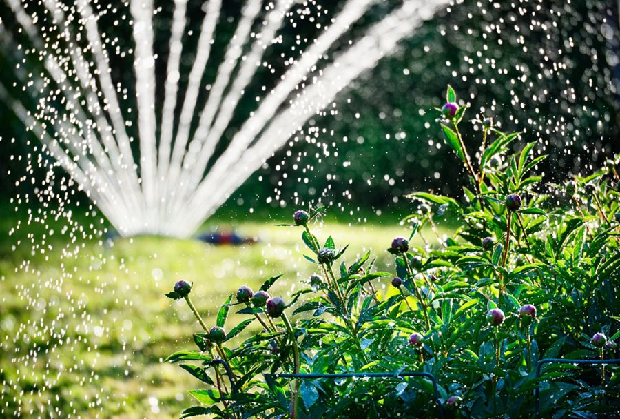 Watering -& Irrigatio-ar Watering & Irrigatio - Arabic